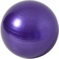 NESTLUNE Purple 55cm Fitness Exercise Ball Yoga Gym Swiss Pregnancy | Size: 0-1 m
