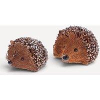 Stella Graham Pair of Glittery Twig Hedgehog Decorations in Natural