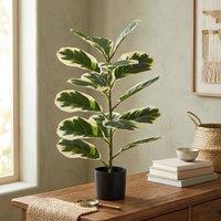 Dynasty Home UK 60cm Artificial Rubber Tree Leaf Fig Plant For Home Livingroom Office in Green