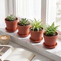 PAWNORA Traffic RED Terracotta 4pcs Mini Plant Pots with Drainage Hole