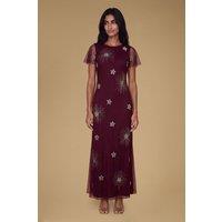 Oasis Women's Petite Celestial Mesh Maxi Dress in Malbec | Size: 10