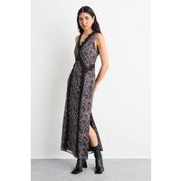 Warehouse Women's Chiffon Printed Dress With Lace in Snake | Size: 10