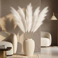 Dynasty Home UK Set of 5 White Pampas Grass Stems 100cm Long Home Decor