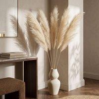 Dynasty Home UK Set of 5 Beige Pampas Grass Stems 100cm