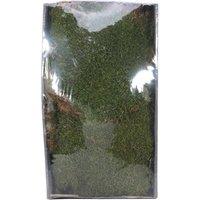 KDMD Natural Green Moss with Tray 500gr