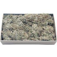 KDMD Grey Moss with Tray 500gr Christmas Ornament