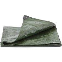 NESTLUNE 3*3M Green+Silver Waterproof Tarpaulin Tarp Ground Camping Cover in Green | Size: 1.25kg