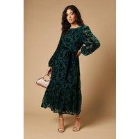 Oasis Women's Petite Velvet Contrast Belted Maxi Dress in Green | Size: 6