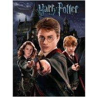 Harry Potter Canvas Print in Grey