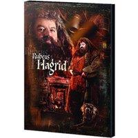Harry Potter Hagrid Canvas Print in Brown