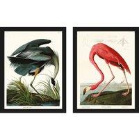 John James Audubon Great Blue Heron American Flamingo Framed Print Pack of 2 in Baby Blue
