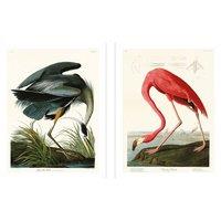 John James Audubon Great Blue Heron American Flamingo Framed Print Pack of 2 in Pale Blue