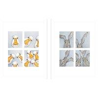 Bev Davies Photo Booth Geese Photo Booth Hares Framed Print Set Pack of 2