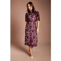 Coast Women's Satin Lace Shirt Dress in Fig | Size: 12