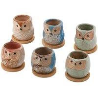Living and Home 6Pcs Mini Ceramic Succulents Thumb Flowerpot Owl Ornament with Plant Saucers