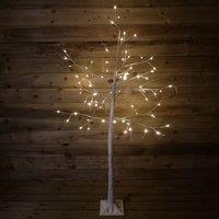 Samuel Alexander 1.8m (6ft) Indoor Outdoor Christmas Lit Birch Tree with 80 Warm White LEDs
