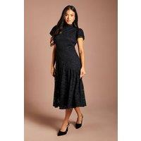 Coast Women's Petite Lace Frill Sleeve High Neck Midi Dress in Black | Size: 8
