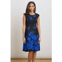 Gina Bacconi Women's Holli Floral Fit & Flare Dress in Black | Size: 18
