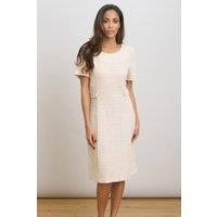 Gina Bacconi Women's Nara Boucle A Line Dress in Pink | Size: 16