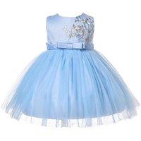 Cinda Girl's Embroidered Floral Party Dress in Blue | Size: 12-18 m