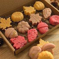 JAAM Snuggle Season Wax Melt Selection Box For Autumn in Brown