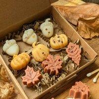 JAAM Autumn Wax Melt Selection Box For Autumn Home Dcor in Brown