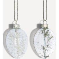Stella Graham Set of 2 Glass Hanging Eggs with Dried Plants, Clear Speckled Finish in Natural