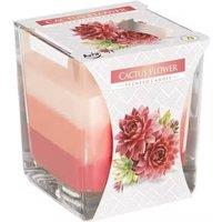 KDMD Rainbow Jar Candle - Cactus flower in Pink