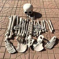 YnysTec Skeleton Bones Breaking Scary Halloween Decoration Human Skull Party in White | Size: 1 Pack