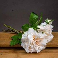 Lemon Pavilion Furniture and Decor Peachy Short Stem Rose Bouquet Artificial Flower - L25 x W25 x H35 cm in Pink
