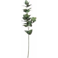 Lemon Pavilion Furniture and Decor Eucalyptus Filler Artificial Plant, Plastic, L5 x W20 x H60 cm, Green