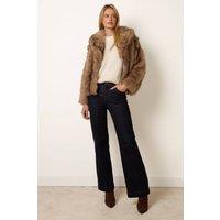 Blue Vanilla Women's Brown Long Sleeve Collar Coat | Size: Large