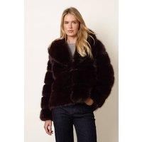 Blue Vanilla Women's Brown Long Sleeve Collar Coat | Size: Small