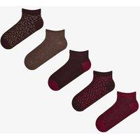 Penti Women's Leopard Everyday Pair Ankle Socks in Brown | Size: 36-38