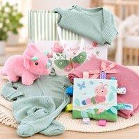 Bumbles & Boo Women's Roarsome Dino New Baby Gift Bag in Pink