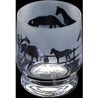 Dartington Aspect Horse Tumbler in Clear | Size: 350ml