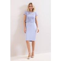 Phase Eight Women's Daisy Embroidered Lace Dress in Baby Blue | Size: 12