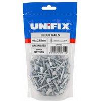Unifix Galv Clout Nails 40 x 2.65mm - Box of 5 in Silver
