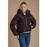 French Connection Women's Short Padded Hooded Puffer Zip Jacket in Chocolate | Size: Large