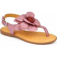 Leather Collection Women's Leather Floral Detail Toe Post Sandal with Buckle Fastening in Pale Pink | Size: 7