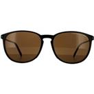 Oval Green Brown Sunglasses