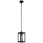 Alamonte 1 Clear Glass And Metal 1 Light Hanging Pendant