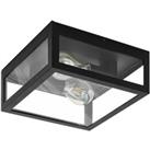 Amezola Clear Metal And Glass IP44 Bathroom or Outdoor Wall or Ceiling Light