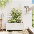 Garden Planter with Rack White 79x39.5x114 cm Solid Wood Pine