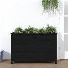 Garden Raised Bed Black 119.5x40x78 cm Solid Wood Pine