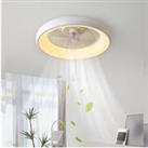20-inch Industrial Style Ceiling Mount LED Fan Light