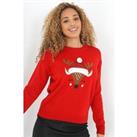 Reindeer Novelty Christmas Jumper