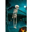 Halloween Hanging Skeleton 30cm H