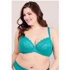 Lace & Logo Underwired Non Padded Bra
