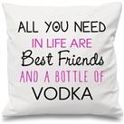 Cushion Cover All You Need In Life Are Best Friends And A Bottle Of Vodka 16 x 16